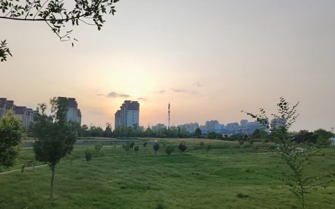 人生的意义是什么？