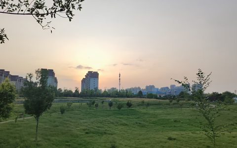 人生最好的状态：忙时不慌，闲时不废